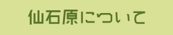 仙石原について